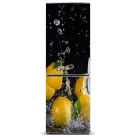 naklejka-na-lodowke-do-domu-magnes-cytryna-60x180