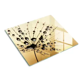 ochrona-plyty-indukcyjnej-nasiono-dmuchawca-60x52