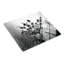 panel-ochronny-na-kuchenke-nasiona-dmuchawca-60x52