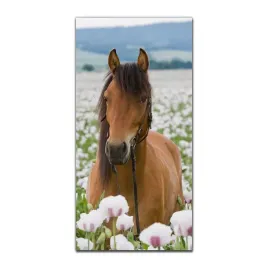 foto-obraz-szklany-do-salonu-50x100-maki-kon-pole