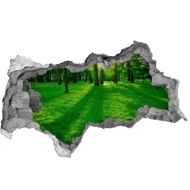 dziura-3d-w-scianie-naklejka-trawa-w-parku-150x115