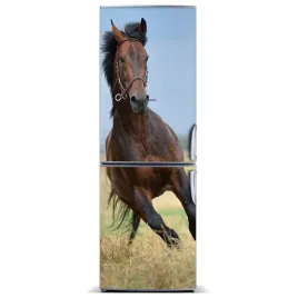 foto-magnes-na-lodowke-kon-na-polu-60x180