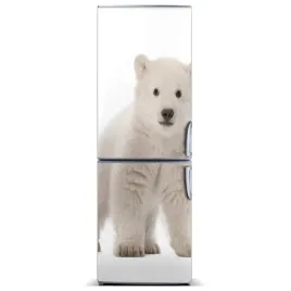 foto-magnes-na-lodowke-na-lodowke-mis-polarny-xl
