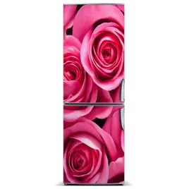 foto-magnes-na-lodowke-rozowe-roze-60x180