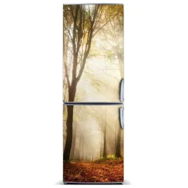 magnes-na-lodowke-magnetyczna-las-jesienia-60x180