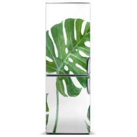 magnes-fototapety-na-lodowke-monstera-60x180