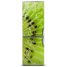 magnes-na-lodowke-do-domu-magnetyczna-kiwi-60x180