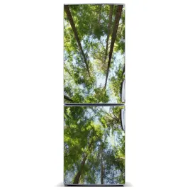 magnes-na-lodowke-magnetyczna-korona-drzew-60x180