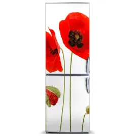 foto-magnes-tapeta-na-lodowke-polne-maki-60x180