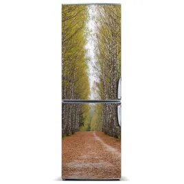 magnes-na-lodowke-magnetyczna-las-brzozowy-60x180
