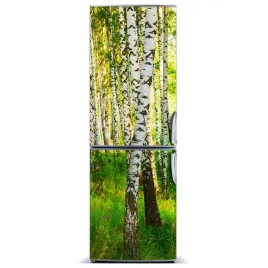 magnes-na-lodowke-magnetyczna-las-brzozowy-60x180