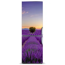 magnes-na-lodowke-magnetyczna-pole-lawendy-60x180