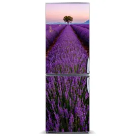 magnes-na-lodowke-magnetyczna-pole-lawendy-60x180