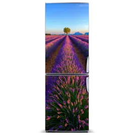 magnes-na-lodowke-magnetyczna-pole-lawendy-60x180