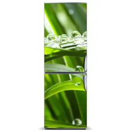 foto-magnes-tapeta-na-lodowke-zdzbla-trawy-60x180