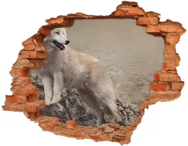 dziura-3d-fototapeta-na-sciane-bialy-wilk-na-skale