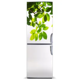magnes-naklejka-tapeta-na-lodowke-liscie-60x180