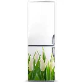 magnes-naklejka-tapeta-na-lodowke-tulipany-60x180