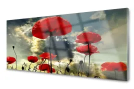 lacobel-panel-szklany-scienny-maki-kwiaty-120x60