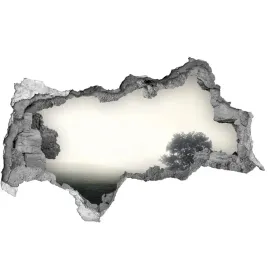 dziura-3d-w-scianie-naklejka-samotne-drzewo-95x73