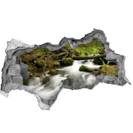 dziura-3d-w-scianie-naklejka-potok-olczyski-95x73