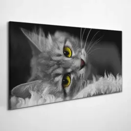 czarno-bialy-obraz-na-plotnie-kotek-100x50-cm