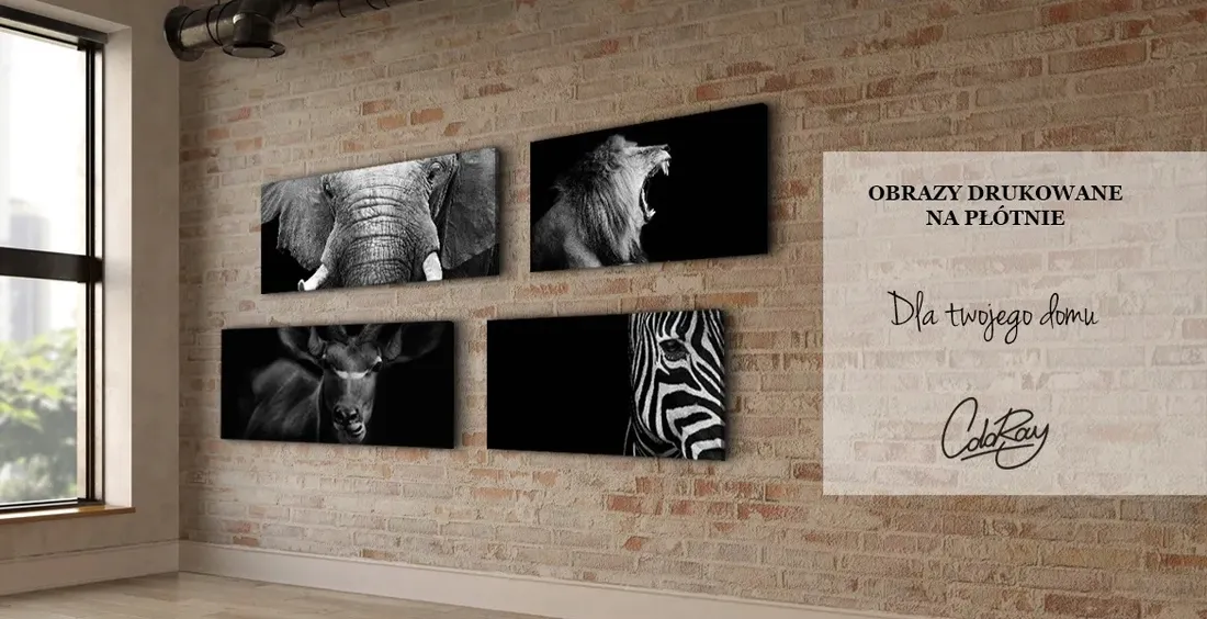 czarno-bialy-obraz-na-plotnie-zebra-120x60-cm