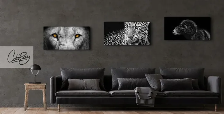 czarno-bialy-obraz-na-plotnie-zebra-120x60-cm-material-wykonania-plotno