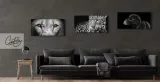 czarno-bialy-obraz-na-plotnie-zebra-120x60-cm-material-wykonania-plotno