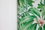 czarno-bialy-obraz-na-plotnie-zebra-120x60-cm-wysokosc-produktu-60-cm