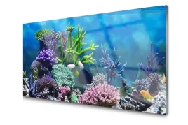 obraz-szklany-akwarium-rybki-pod-woda-foto-100x50