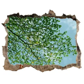 dziura-3d-w-scianie-naklejka-liscie-na-niebie
