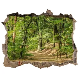 dziura-3d-w-scianie-naklejka-lesna-sciezka-168x113