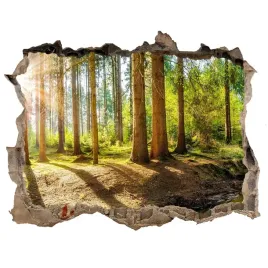 dziura-3d-w-scianie-na-sciane-panorama-las-168x113