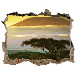 dziura-3d-w-scianie-naklejka-kilimandzaro-kenia