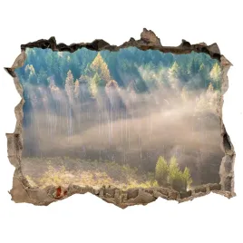 fototapeta-dziura-na-sciane-mgla-w-lesie-168x113