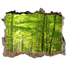 dziura-3d-w-scianie-scienna-lisciasty-las-168x113