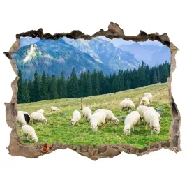 dziura-3d-w-scianie-okleina-owce-w-tatrach-168x113