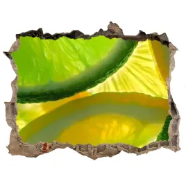 naklejka-dziura-scienna-limonka-i-cytryna-168x113