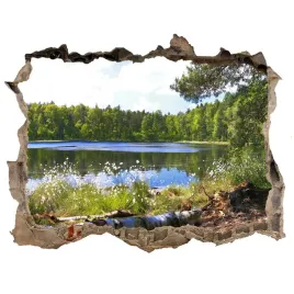 naklejka-fototapeta-3d-na-sciane-lesna-panorama