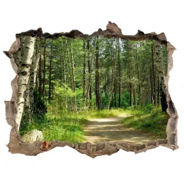 dziura-w-scianie-sticker-sciezka-w-lesie-168x113