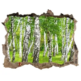 naklejka-fototapeta-3d-widok-brzozowy-las-168x113