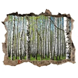 naklejka-fototapeta-3d-widok-brzozowy-las-168x113