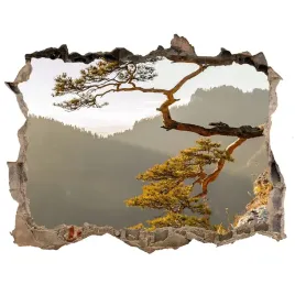 naklejka-fototapeta-3d-widok-sokolica-pieniny