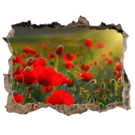 naklejka-fototapeta-3d-widok-pole-makow-168x113