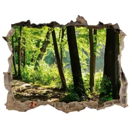 naklejka-fototapeta-3d-na-sciane-sciezka-na-lace