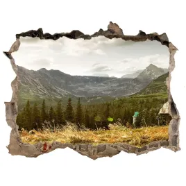 naklejka-fototapeta-3d-na-sciane-dom-w-gorach