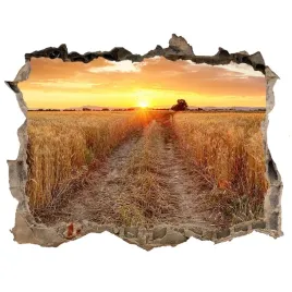 naklejka-fototapeta-3d-widok-pole-pszenicy-168x113