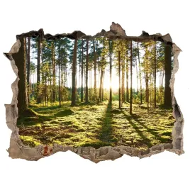 naklejka-fototapeta-3d-widok-las-sosnowy-168x113
