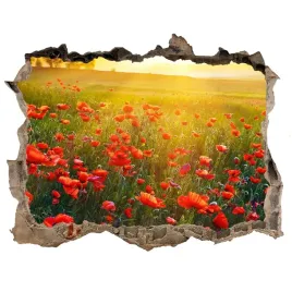 naklejka-fototapeta-3d-widok-pole-makow-168x113